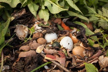 Compost bin with food scraps and grass cuttings, nettles and true comfrey leaves