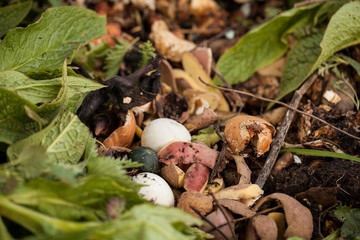 Compost bin with food scraps and grass cuttings, nettles and true comfrey leaves