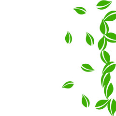 Falling green leaves. Fresh tea neat leaves flying