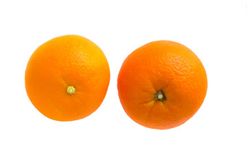 juicy oranges on a white background close-up