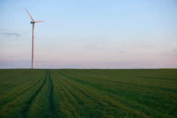 Wind turbine standing in a field of green grain