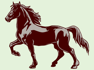 Vector horse