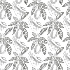Fototapeta premium Avocado seamless pattern on a white background. Botanical illustrations in the engraving style. Collection of hand-drawn flowers and plants. Tropical plant.