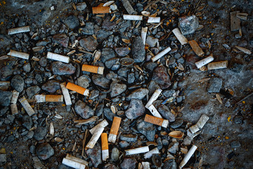 Many cigarette butts lie on the ground.Dangers of smoking