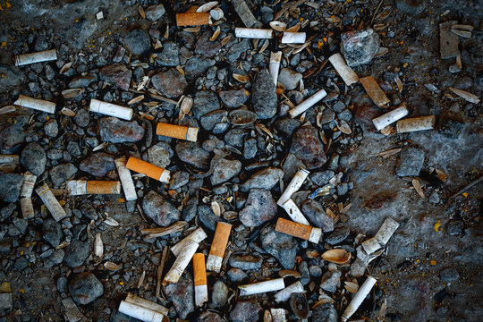 Many cigarette butts lie on the ground.Dangers of smoking