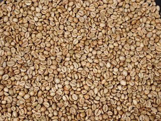 raw not roasted coffee beans from africa on a dark background