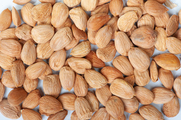 Peeled apricot kernels