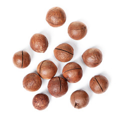 Heap of macadamia nut in shell