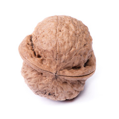 One big walnut