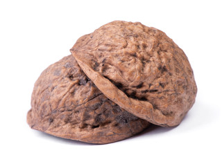 Empty shell of walnut