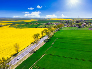 Aerial landscape of the yellow rapeseed field under blue sky, Poland