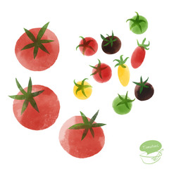 色とりどりのトマト/ 水彩イラスト