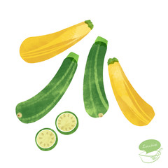 ズッキーニのイラスト