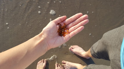 Amber on female palm against the sandy beach and women's and men's legs. Transparent bright pieces of amber in hands. Natural mineral is a frozen ancient resin. Sunstone. Jewelry amber.