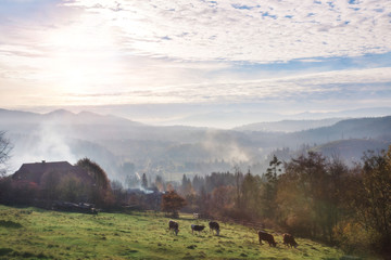 Beautiful picturesque landscape of a mountain village in the fall.