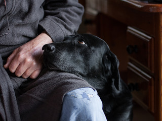 Elderly man sitting while dog gazes up adoringly