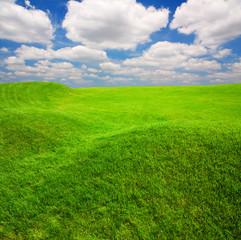 Green grass field on small hills and blue sky with clouds