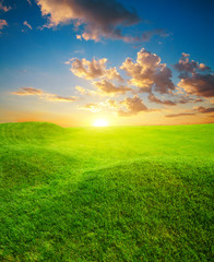 Green grass field on small hills, at sunset