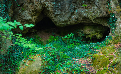 A small cave in a rock covered with green vegetation