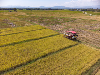 Traditional Thai harvesting tractor machine at rice field