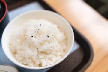 Bowl of cooked japanese rice