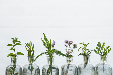 .Bottle of essential oil with herbs  sage, rosemary, oregano,lavender flower, Rue herb  ,thyme  set up on white background.