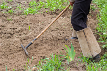 Feet of a man in rubber boots. male hands hold a wooden stick. Wooden stick with a metal rake at the end. Active work in the garden. Planting plants. Work with soil. Life in the village. 