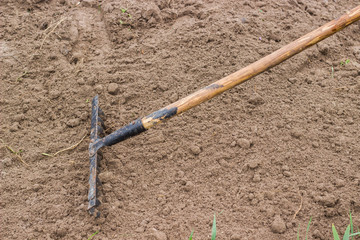 Wooden stick with a metal rake at the end. Active work in the garden. Planting plants. Work with the soil. Life in the village. Landing in the ground. Dry land. Spring work.