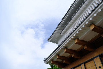 Fototapeta na wymiar 鹿児島城の入口と大空