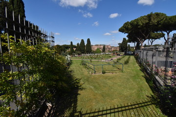 Fototapeta premium Roma