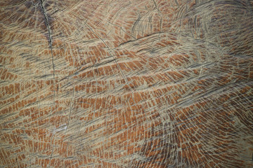 wood texture with natural pattern for background.