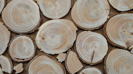 Wooden juniper stand for hot cups and plates. Background. Macro shooting, closeup