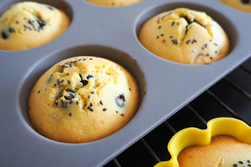 gluten-free muffins in a gray silicone mold and yellow, sprinkled with Chia seeds and blueberry filling. it is prepared at home only from the oven. side view