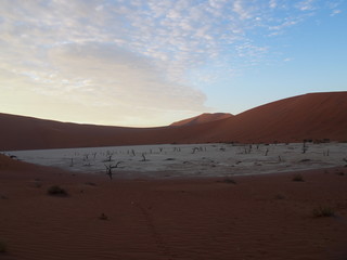 Dead camelthorn trees at sunrise in the scorched desert of Deadvlei and blue sky, Namibia