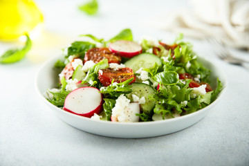 Healthy salad with sun dried tomatoes and fresh cheese