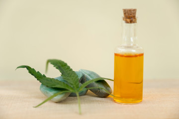 Hemp leaves and CBD oil. Alternative Medicine, Herbal Treatment concept