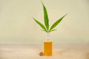 Hemp leaves and CBD oil. Alternative Medicine, Herbal Treatment concept