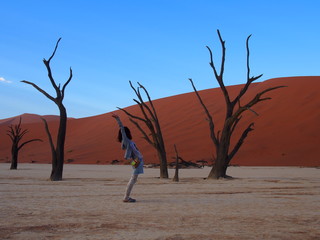 Woman and dead camelthorn trees at sunrise in the scorched desert of Deadvlei and blue sky, Namibia