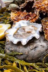 Fresh open zeeuwse creuse pacific or japanese oysters molluscs on fish market in Netherlands