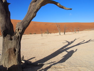 Dunes and shadows of people in the scorched desert of Deadvlei and blue sky, Namibia