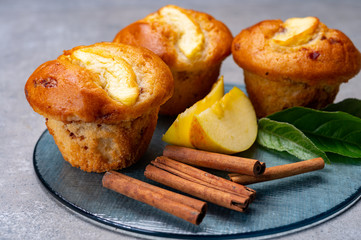 Fresh baked muffins with apple and cinnamon close up