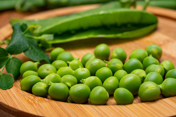 New harvest of ripe green peas legumes