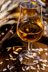 Tasting glasses with aged Scotch whisky or bourbon on old dark wooden vintage table with barley grains