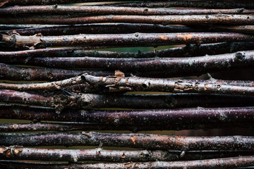 Rondins de bois empilés à l'horizontal - Arrière plan texture
