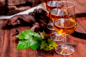 Tasting of aged french cognac brandy in old cellars of cognac-producing regions Champagne or Bois, France