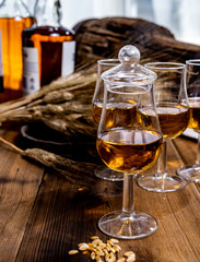 Tasting glasses with aged Scotch whisky or bourbon on old dark wooden vintage table with barley grains