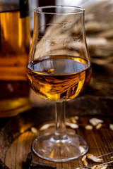 Tasting glasses with aged Scotch whisky or bourbon on old dark wooden vintage table with barley grains