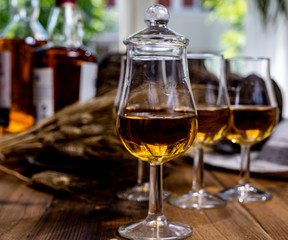 Tasting glasses with aged Scotch whisky or bourbon on old dark wooden vintage table with barley grains