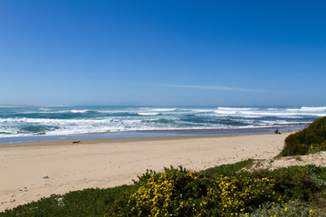 Seascape, Gouritz River Mouth, South Africa