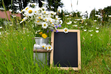 Frühling Margeriten Blumenstrauß auf einer Weise mit einer Tafel